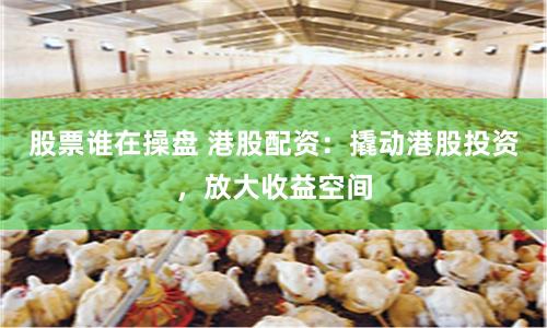 股票誰在操盤 港股配資：撬動港股投資，放大收益空間